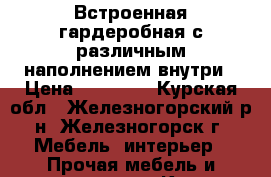 Встроенная гардеробная с различным наполнением внутри › Цена ­ 20 000 - Курская обл., Железногорский р-н, Железногорск г. Мебель, интерьер » Прочая мебель и интерьеры   . Курская обл.